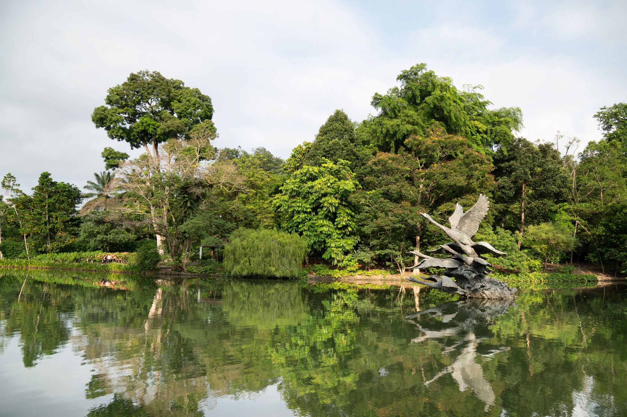 Swan Lake